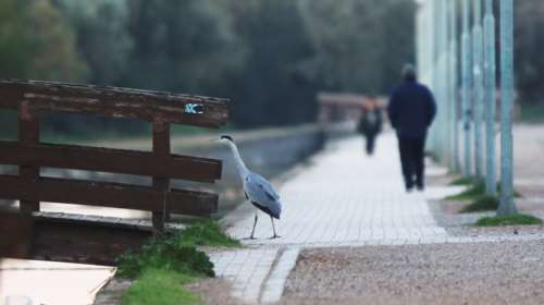 Καταγγελία Πατούλη: Έσπασαν το λουκέτο στο &quot;Πάρκο Τρίτση&quot; για να κάνουν βόλτες
