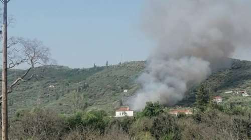 Φωτιά στην Άρτα: Πυρκαγιά καίει περιοχή με ελιές στη Βλαχέρνα