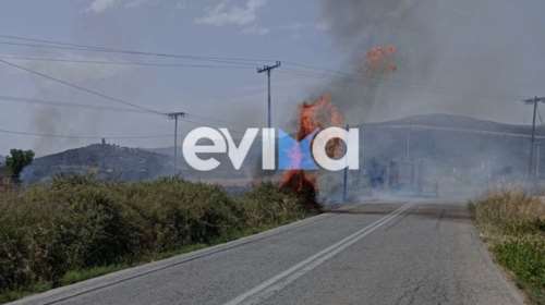 Εύβοια: Φωτιά κοντά σε σπίτια και επιχειρήσεις στην κοινότητα Λεπούρων Αλιβερίου [εικόνες]