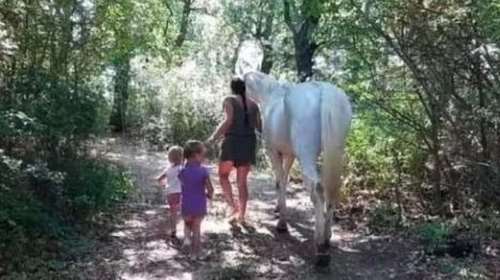 Σάλος με τα &quot;Παιδιά του Δάσους&quot; στην Ιταλία: Ζούσαν χωρίς ρεύμα και νερό, πήραν την επιμέλεια από τους γονείς