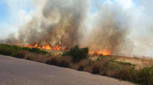 Οριοθετήθηκε η φωτιά στο Μαρκόπουλο - Σηκώθηκαν και εναέρια μέσα