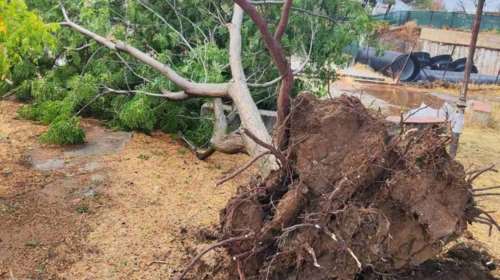 Πυροσβεστική: 55 κλήσεις λόγω των έντονων καιρικών φαινομένων στη Θεσσαλία