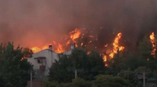 Ανεξέλεγκτη η φωτιά στο Ασπροχώρι Ωρωπού: Κοντά σε σπίτια οι φλόγες - Μήνυμα 112 και κυκλοφοριακές ρυθμίσεις [βίντεο]