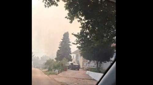 Αγρίνιο: Φωτιά στην περιοχή Ποταμούλα - 112 για εκκένωση [βίντεο]