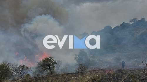 Φωτιά στην Κύμη Αλιβερίου - Μήνυμα 112 στους κατοίκους του Αλμυροποτάμου να είναι σε ετοιμότητα