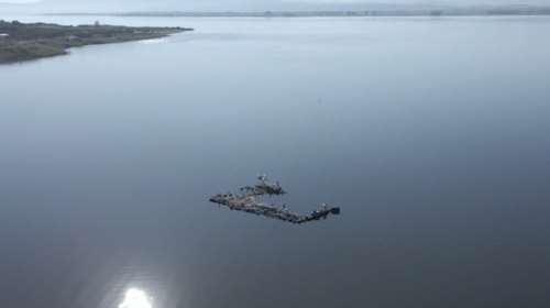 &quot;Στεγνώνει&quot; η λίμνη Βόλβη - Αναδύονται ερείπια, υποχώρησαν έως και 100 μέτρα τα νερά [βίντεο]