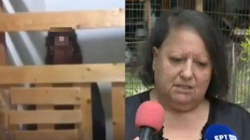 &quot;Κωσταλέξι&quot; στην Καλαμάτα: Επτά χρόνια έχει να βγει έξω η 29χρονη - &quot;Μια χαρά είναι οι συνθήκες που ζει η κόρη μου&quot; [Βίντεο]