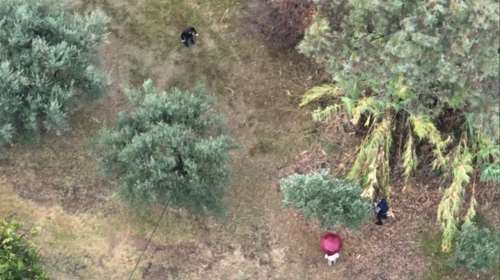 Αγρίνιο: Βίντεο drone από τη διαπραγμάτευση του αστυνομικού με τον δολοφόνο της Δώρας - Η στιγμή που πλησιάζει η αδερφή του