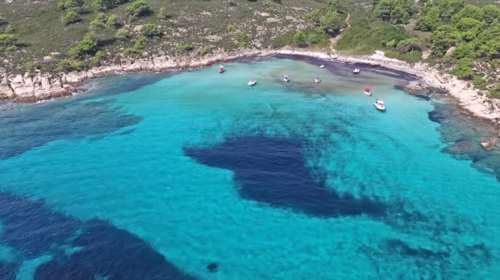 Λευκή όπως... Χαβάη: Η εξωτική παραλία της Χαλκιδικής με τα τιρκουάζ νερά και τη λευκή άμμο [βίντεο]