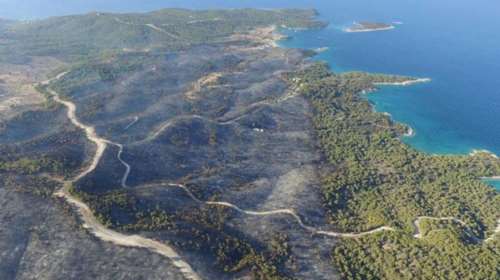 Σκάνδαλο: Πουλάνε καμένο δάσος στην Αργολίδα, που έχει κριθεί αναδασωτέο- Πώς κατάφεραν άρση της αναδάσωσης για 720 στρέμματα
