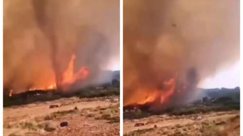 Φωτιά στα Βίλια: Πύρινος στρόβιλος εκτόξευσε κορμό δέντρου προς τους πυροσβέστες [βίντεο]