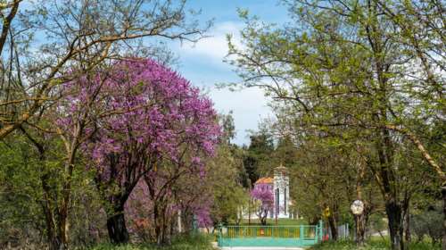 Αλιβέρι: Μια όαση δίπλα στην Αττική - Γαλαζοπράσινες παραλίες και πεζοπορικές διαδρομές μέσα στη φύση