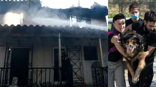 Φωτιά στα Βίλια: Συγκλονιστικές εικόνες από την επέλαση της πύρινης λαίλαπας - Κάηκαν σπίτια στον Προφήτη Ηλία [Βίντεο]