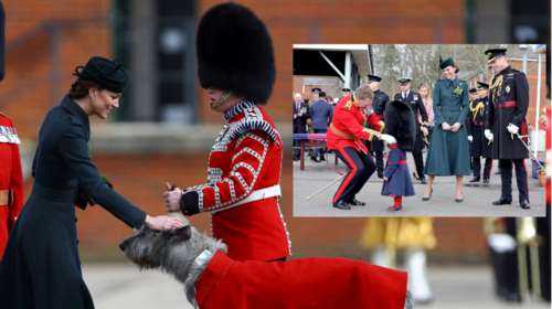 Royals στα χακί: Η militaire εμφάνιση της Κέιτ Μίντλετον και το κοριτσάκι που έκλεψε τις εντυπώσεις