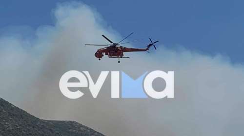 Φωτιά στην Αυλίδα: Επιχειρούν εναέρια μέσα - Υπό μερικό έλεγχο η πυρκαγιά στη Νέα Αρτάκη