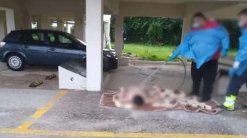 Καταγγελία για Ωρωπό: Παρουσία αστυνομικών και του δήμου έπλεναν την ηλικιωμένη, λέει η δικηγόρος διασώστη