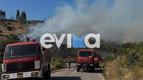 Νέα φωτιά στην Εύβοια: Στο χωριό Κοντοδεσπότι - Χρειαζόμαστε ενισχύσεις, λέει ο δήμαρχος Διρφύων Μεσσαπίων [εικόνες]