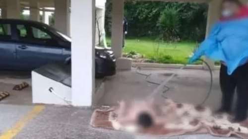 Εικόνες ντροπής στον Ωρωπό: Πλήρωμα ασθενοφόρου πλένει με λάστιχο ηλικιωμένη σε πυλωτή πολυκατοικίας