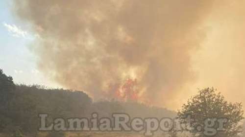 Φωτιά στη Φθιώτιδα: Συναγερμός για την πυρκαγιά στο Λογγίτσι που εκκενώθηκε - Στα 500 μέτρα από τα πρώτα σπίτια οι φλόγες