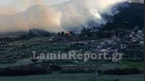 Φθιώτιδα: Ξέσπασε μεγάλη φωτιά στην Μενδενίτσα - Ανεμοι έξι μποφόρ σπρώχνουν τις φλόγες σε κατοικημένες περιοχές