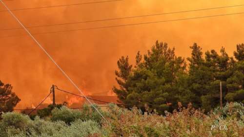 Φωτιά στη Ρόδο: Κάηκαν 7.000 στρέμματα δάσους - Μεγάλη καταστροφή στην Κοιλάδα των Πεταλούδων