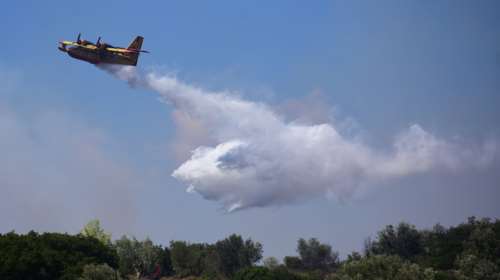 Φωτιά στη Μεσσηνία: Καναντέρ και επίγειες δυνάμεις στη μάχη με τις φλόγες σε δασική έκταση στην Αρσινόη
