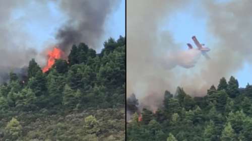 Μαίνεται η  φωτιά στο Άγιο Όρος: Ενισχύθηκαν οι δυνάμεις από γη και αέρα [Εικόνες, βίντεο]
