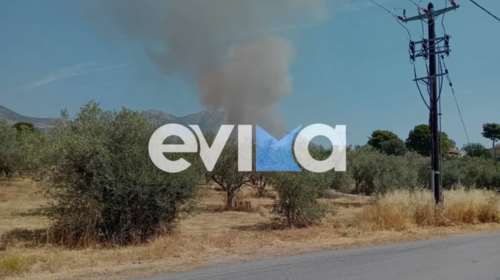 Φωτιά στην Ερέτρια: Προειδοποιητικό μήνυμα 112 στους κατοίκους