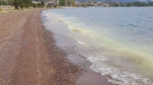 Φθιώτιδα: Γιατί έγινε κίτρινος ο Μαλιακός κόλπος; [εικόνες - βίντεο]