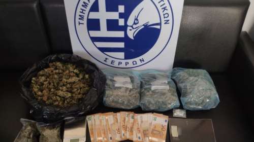 Σέρρες: Η Roxy εντόπισε κάνναβη σε σπίτι 53χρονου - Τι βρήκαν οι Αρχές