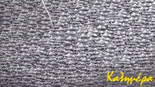 Με άγριες διαθέσεις μας καλημερίζει σήμερα ο Αρκάς