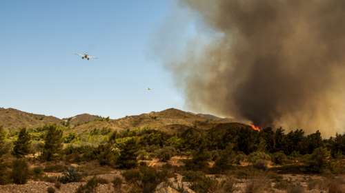Βορίδης: Η ΕΥΠ έχει επιληφθεί για τη φωτιά στη Ρόδο - Δεν αποκλείεται οργανωμένο σχέδιο εμπρησμού