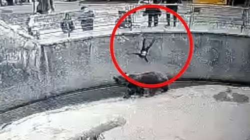 Σοκαριστικό βίντεο: Μητέρα πετά τρίχρονο κοριτσάκι σε κλουβί αρκούδας στο ζωολογικό κήπο του Ουζμπεκιστάν