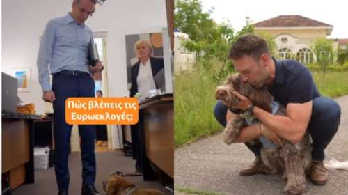 Η "κόντρα" Μητσοτάκη - Κασσελάκη στο TikTok και τα πρόσωπα που είναι πίσω από τους λογαριασμούς των δύο πολιτικών αρχηγών