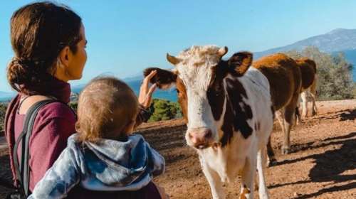 Εριέττα Κούρκουλου - Λάτση: Η τρυφερή ανάρτηση αγκαλιά με τον 7 μηνών γιο της [Εικόνα]