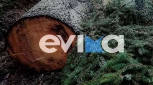 Τραγωδία στην Εύβοια: Δασεργάτης καταπλακώθηκε από πεύκο - "2,5 ώρες χρειάστηκε το ασθενοφόρο"