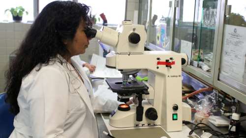 Αυτές είναι οι 3 σημαντικότερες μεταλλάξεις του κορονοϊού - Σε τι διαφέρουν