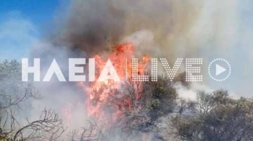 Ηλεία: Φωτιά σε αγροτοδασική έκταση - Επειχειρούν 4 εναέρια [εικόνες]