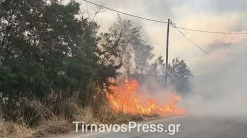 Τύρναβος: Φωτιά κοντά σε κατοικημένη περιοχή