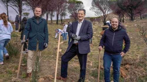 Παπαστράτος: Ξεκινά η Β΄ φάση του μεγάλου  Προγράµµατος Αναδάσωσης