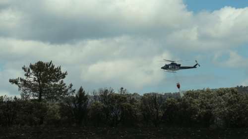 Φωτιά στην Αγία Μαρίνα Κορωπίου: Καίει χορτολιβαδική έκταση - Επιχειρούν και εναέρια μέσα