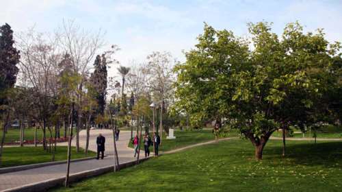 Πάρκο Ριζάρη: Διασώζονται προσωρινά 230 δέντρα - Μερικώς δεκτή από το ΣτΕ η προσφυγή του Ιδρύματος Πατέρα