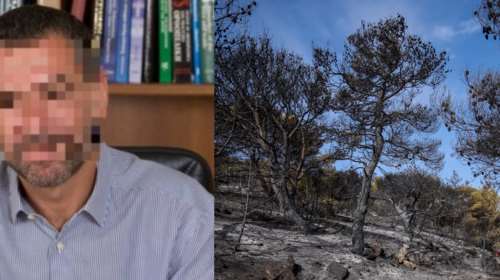 Νέα Μάκρη: Ο 16χρονος έβαζε τις φωτιές και το ζευγάρι τον κάλυπτε - Στοχευμένοι οι εμπρησμοί - Οι διενέξεις με γείτονες [βίντεο]