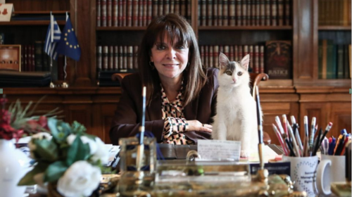 Η γάτα της προέδρου της Δημοκρατίας και το δηλητήριο των γνωστών κύκλων