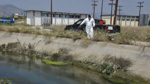 Ιός Δυτικού Νείλου: Συνολικά 13 θάνατοι από την αρχή της χρονιάς - Έφτασαν τα 100 τα κρούσματα