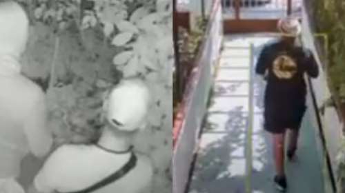 Βόρεια Προάστια: Συμμορία έμπαινε σε σπίτια και τα "ξάφριζε" - Η στιγμή που σκύλος τούς έπιασε στα πράσα