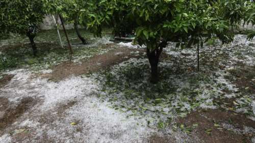 Η κακοκαιρία "χτύπησε" τα Μεσόγεια – Μεγάλες καταστροφές σε καλλιέργειες από το χαλάζι [Εικόνες]