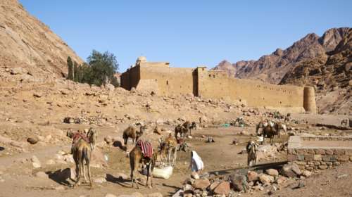 Στην Αίγυπτο για την ενθρόνιση του νέου Αρχιεπισκόπου Σινά ο Μητσοτάκης: Θα παρευρεθεί και στα εγκαίνια του Μεγάλου Μουσείου