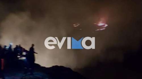 Φωτιά ξέσπασε στην Εύβοια - Ισχυροί άνεμοι στην περιοχή