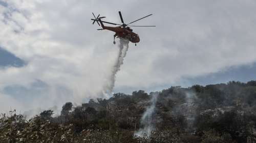 Πυρκαγιά στη Μεσσηνία: Οι φλόγες καίνε αγροτοδασική έκταση στο Πεταλίδι